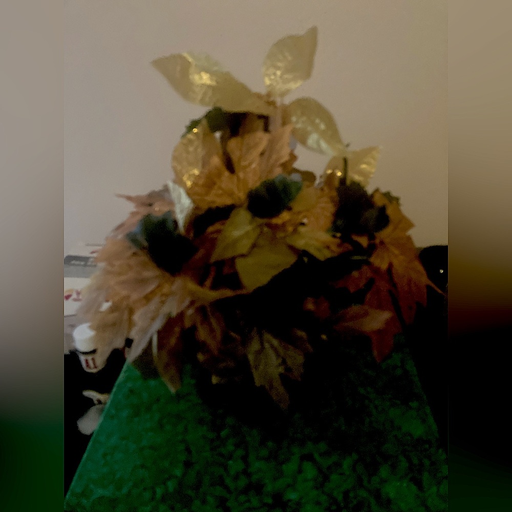Fall decor for the home